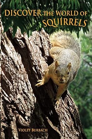 discover the world of squirrels illustrated kids book with fun facts about squirrels and builds kids