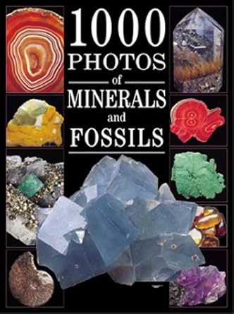 1000 photos of minerals and fossils 1st edition alain eid ,michel viard 0764152181, 978-0764152184