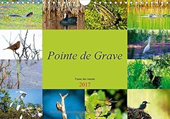 pointe de grave faune des marais 2017 un petit apercu de la faune des marais de la pointe de grave 1st