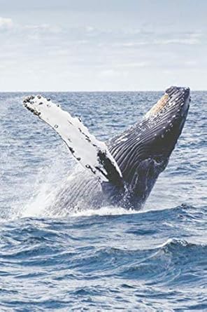 notizbuch wal tagebuch / journal / notizbuch mit wal motiv 120 seiten a5 gepunktet 1st edition animal