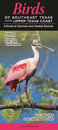 birds of southeast texas and the upper texas coast a guide to common and notable species 1st edition gary and