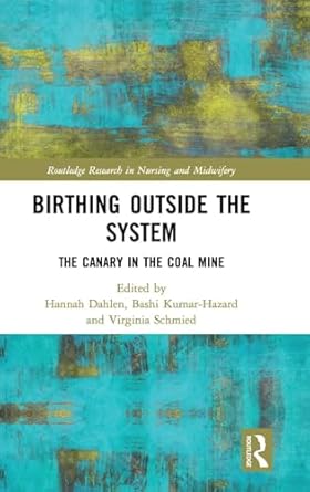 birthing outside the system 1st edition hannah dahlen ,bashi kumar hazard ,virginia schmied 1138592706,