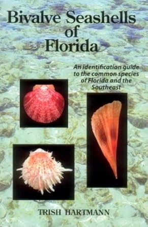 bivalve seashells of florida 1st edition trish hartmann 0975905902, 978-0975905906