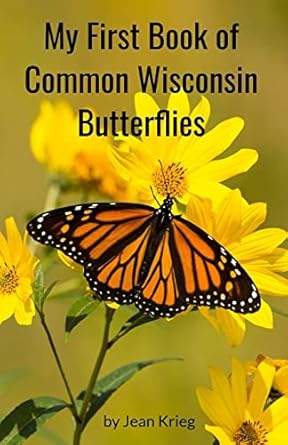 my first book of common wisconsin butterflies 1st edition jean krieg 1727314948, 978-1727314946
