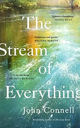 the stream of everything 1st edition john connell 0717194647, 978-0717194643