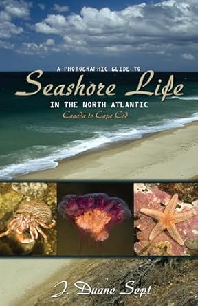 a photographic guide to seashore life in the north atlantic canada to cape cod 1st edition j duane sept
