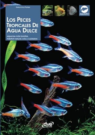 los peces tropicales de agua dulce 1st edition gelsomina parisse 1646990463, 978-1646990467