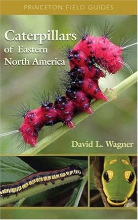 caterpillars of eastern north america a guide to identification and natural history 1st edition david l
