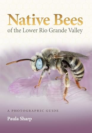 native bees of the lower rio grande valley a photographic guide 1st edition paula sharp 164843200x,