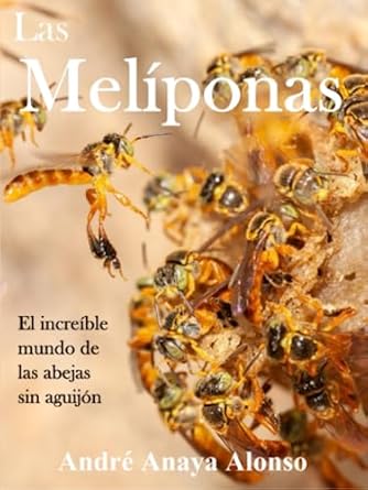 las meliponas el increible mundo de las abejas sin aguijon 1st edition felix andre anaya alonso 6120085785,