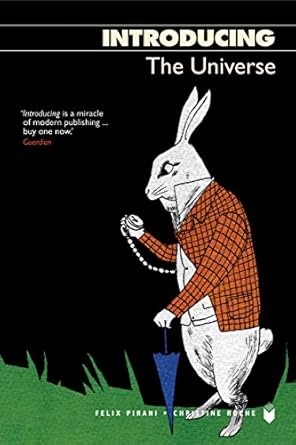 introducing the universe 1st edition felix pirani ,christine roche 1840467614, 978-1840467611