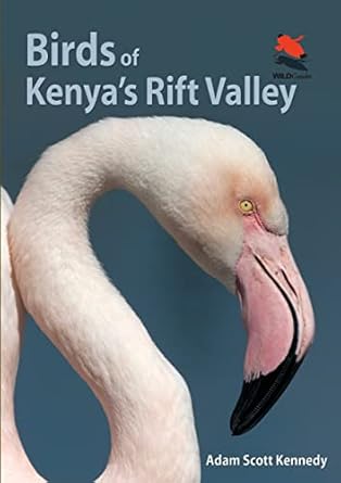 birds of kenyas rift valley 1st edition adam scott kennedy 0691159076, 978-0691159072