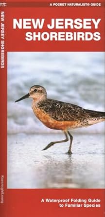 new jersey shorebirds a folding guide to familiar species 1st edition waterford press ,james kavanagh