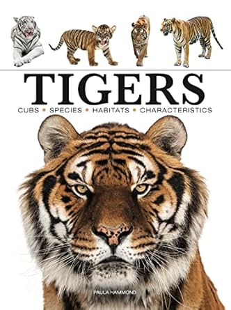 tigers 1st edition paula hammond 1838862609, 978-1838862602