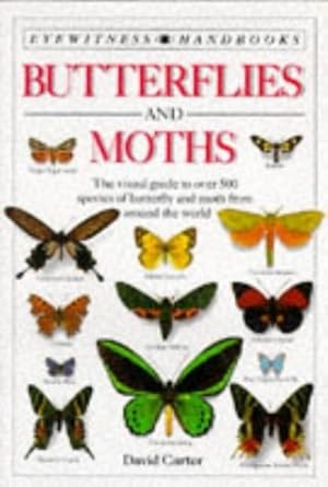 butterflies and moths 1st edition david carter 0863188095, 978-0863188091
