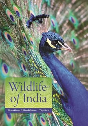 wildlife of india 1st edition bikram grewal 069121770x, 978-0691217703