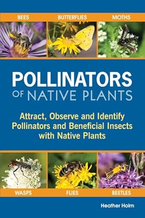 pollinators of native plants attract observe and identify pollinators and beneficial insects with native