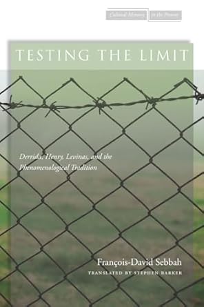 testing the limit derrida henry levinas and the phenomenological tradition 1st edition francois david sebbah
