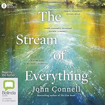 the stream of everything audio 1st edition john connell 1038609755, 978-1038609755