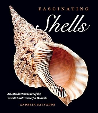 fascinating shells an introduction to 121 of the worlds most wonderful mollusks 1st edition andreia salvador