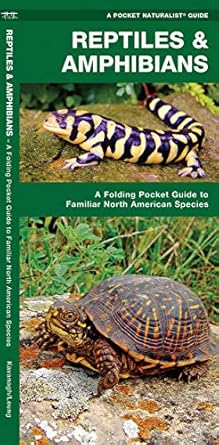 reptiles and amphibians a folding pocket guide to familiar north american species 1st edition james kavanagh