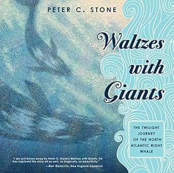 waltzes with giants the twilight journey of the north atlantic right whale 1st edition peter c stone