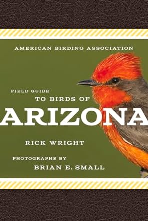 american birding association field guide to birds of arizona 1st edition rick wright ,brian e small