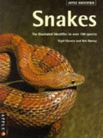 snakes identifier 1st edition nigel marven ,rob harvey 1850766061, 978-1850766063