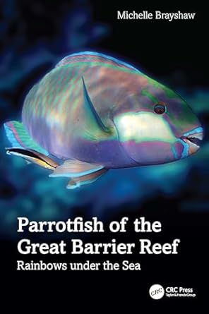 parrotfish of the great barrier reef rainbows under the sea 1st edition michelle brayshaw 1032964286,