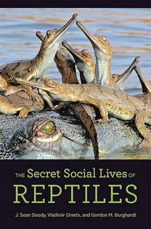 the secret social lives of reptiles 1st edition j sean doody ,vladimir dinets ,gordon m burghardt 1421440679,