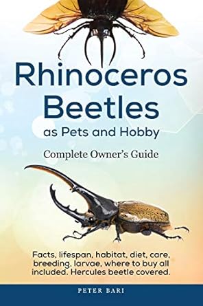 rhinoceros beetles as pets and hobby complete owners guide facts lifespan habitat diet care breeding larvae