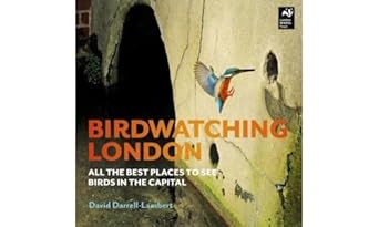 birdwatching london 1st edition david darrell lambert 0993291155, 978-0993291159