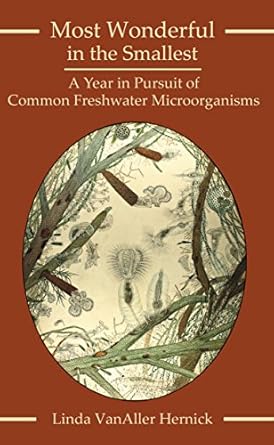 most wonderful in the smallest a year in pursuit of common freshwater microorganisms 1st edition linda