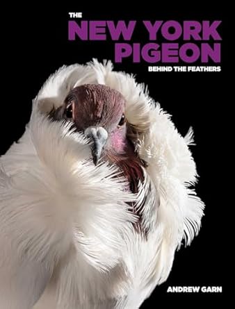 the new york pigeon 1st edition andrew garn 1648230741, 978-1648230745