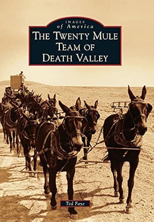 the twenty mule team of death valley 1st edition ted faye 0738595098, 978-0738595092