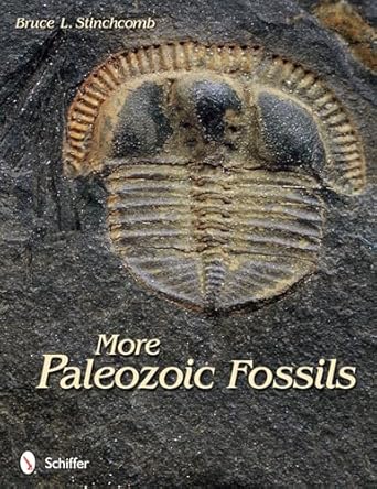 more paleozoic fossils 1st edition bruce l stinchcomb 0764340301, 978-0764340307