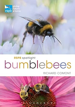 rspb spotlight bumblebees 1st edition richard comont 1472966651, 978-1472966650