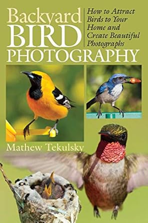 backyard bird photography how to attract birds to your home and create beautiful photographs 1st edition