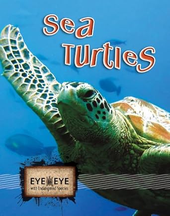 sea turtles 1st edition cindy rodriguez 1606944053, 978-1606944059