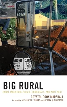 big rural rural industrial places democracy and what next 1st edition crystal cook marshall ,alexander r