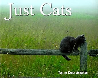 just cats 1st edition karen anderson 1572231874, 978-1572231870