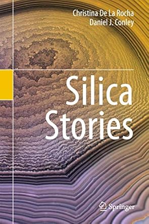 silica stories 1st edition christina de la rocha ,daniel j conley 331954053x, 978-3319540535