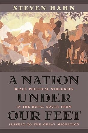 a nation under our feet black political struggles in the rural south from slavery to the great migration 1st