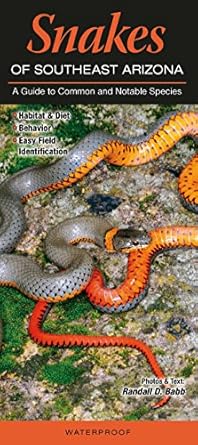 snakes of southeast arizona a guide to common and notable species 1st edition randall d babb 193691381x,