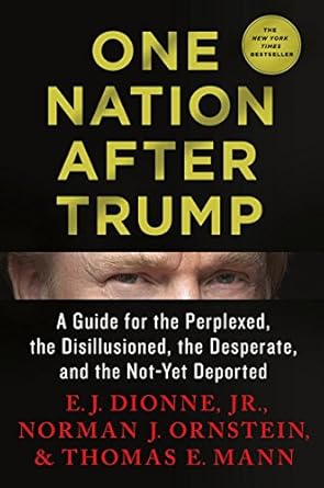 one nation after trump a guide for the perplexed the disillusioned the desperate and the not yet deported 1st
