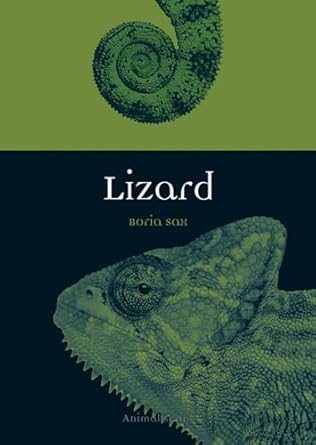 lizard 1st edition boria sax 1780238282, 978-1780238289