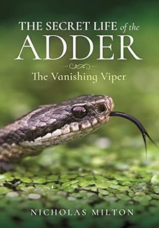 the secret life of the adder the vanishing viper 1st edition nicholas milton 1399018167, 978-1399018166