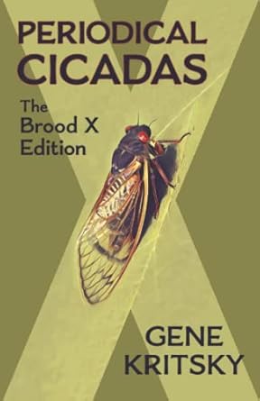 periodical cicadas the brood   black and white 1st edition gene kritsky 0867271736, 978-0867271737