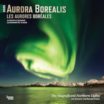 aurora borealis les aurores boreales 2025 12 x 24 inch monthly square wall calendar foil stamped cover