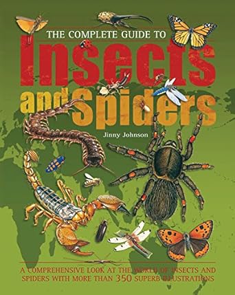 complete guide to insects and spiders 1st edition jinny johnson 1845663209, 978-1845663209